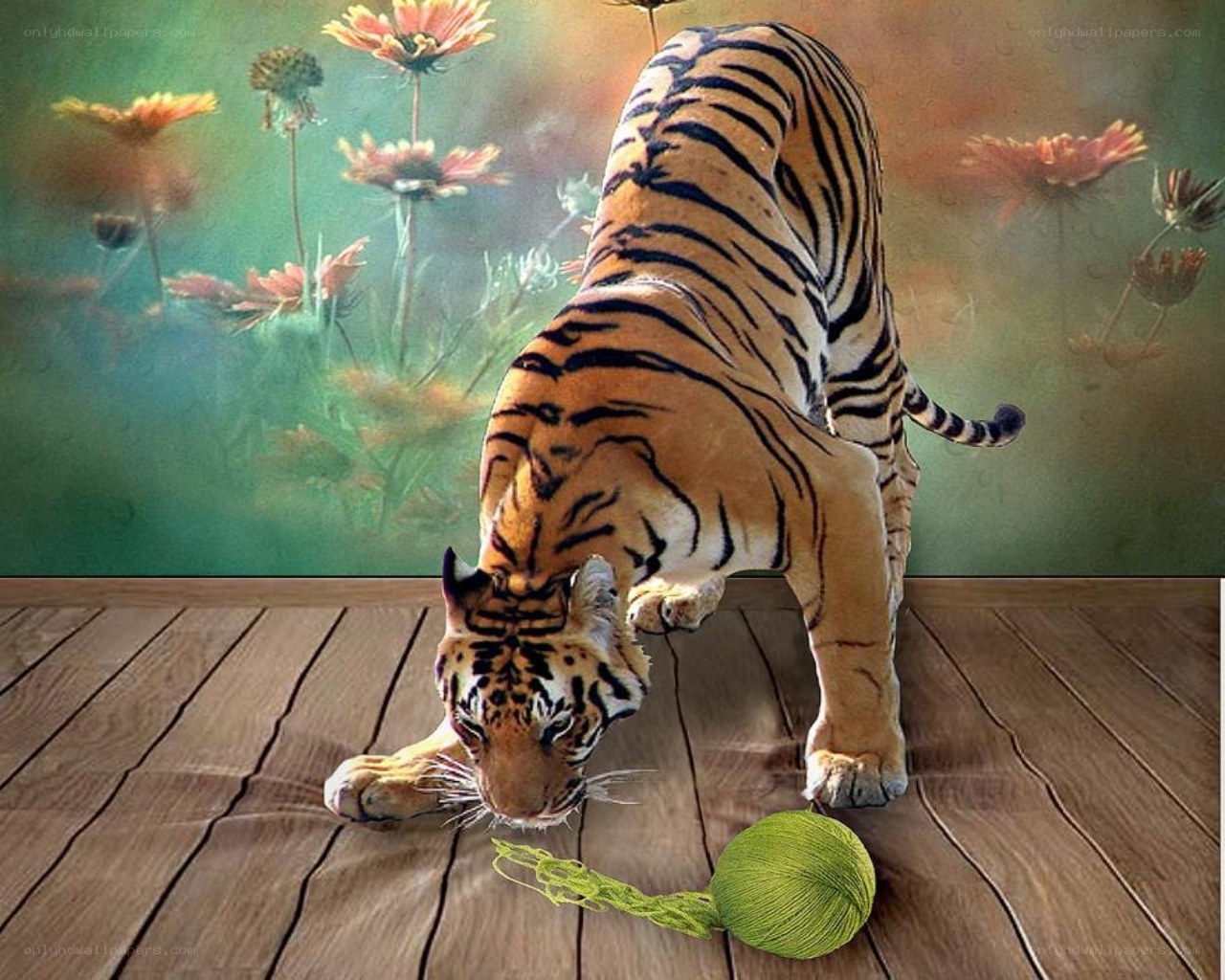 Tiger playing with yarn