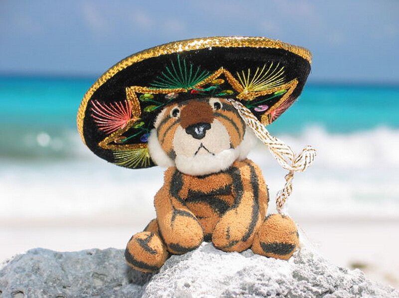 Tiger Plush Toy — Orange