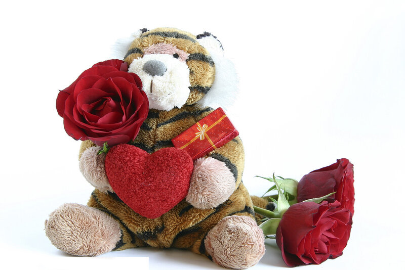 Tiger Plush Toy — White