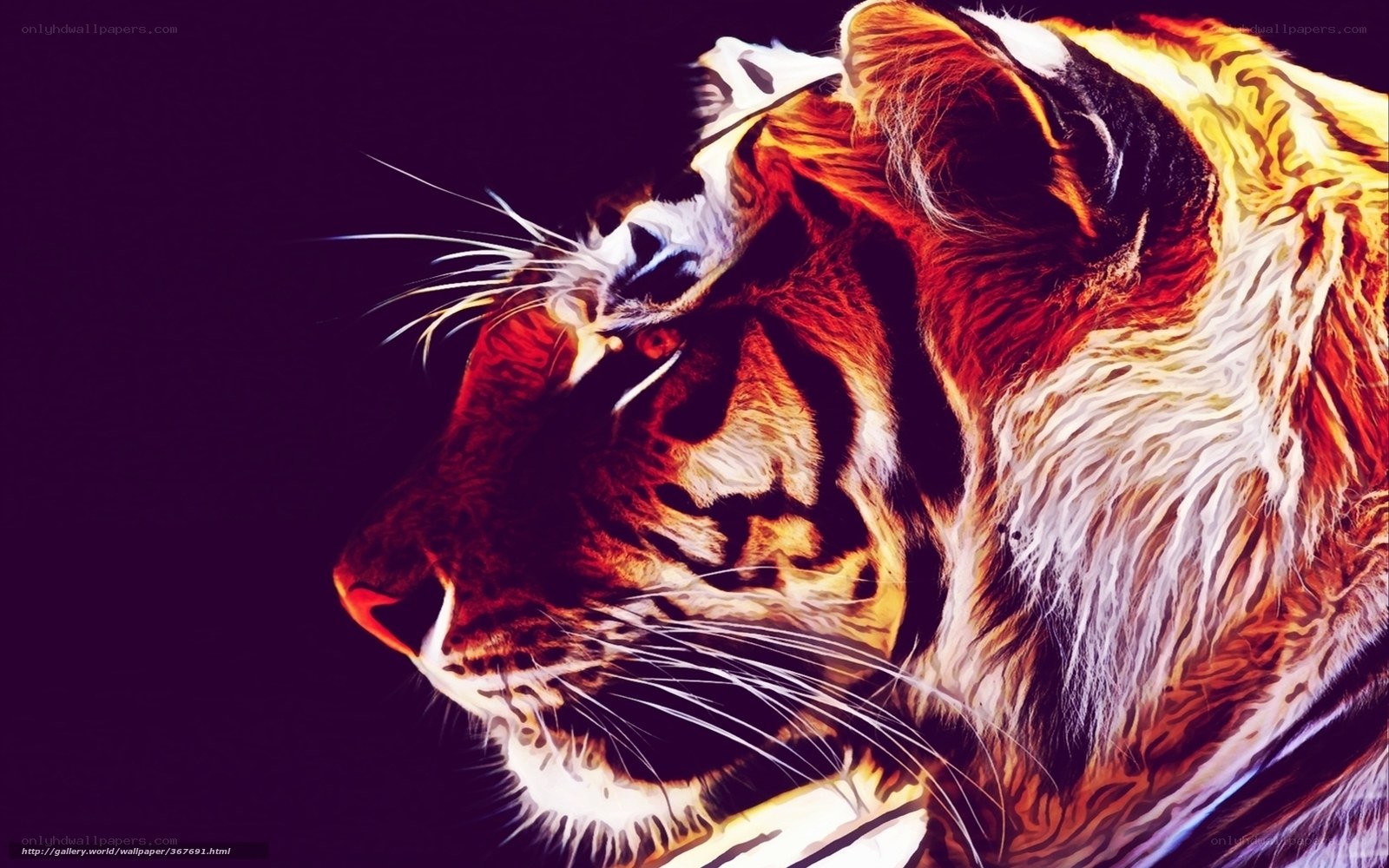 tiger portrait artwork