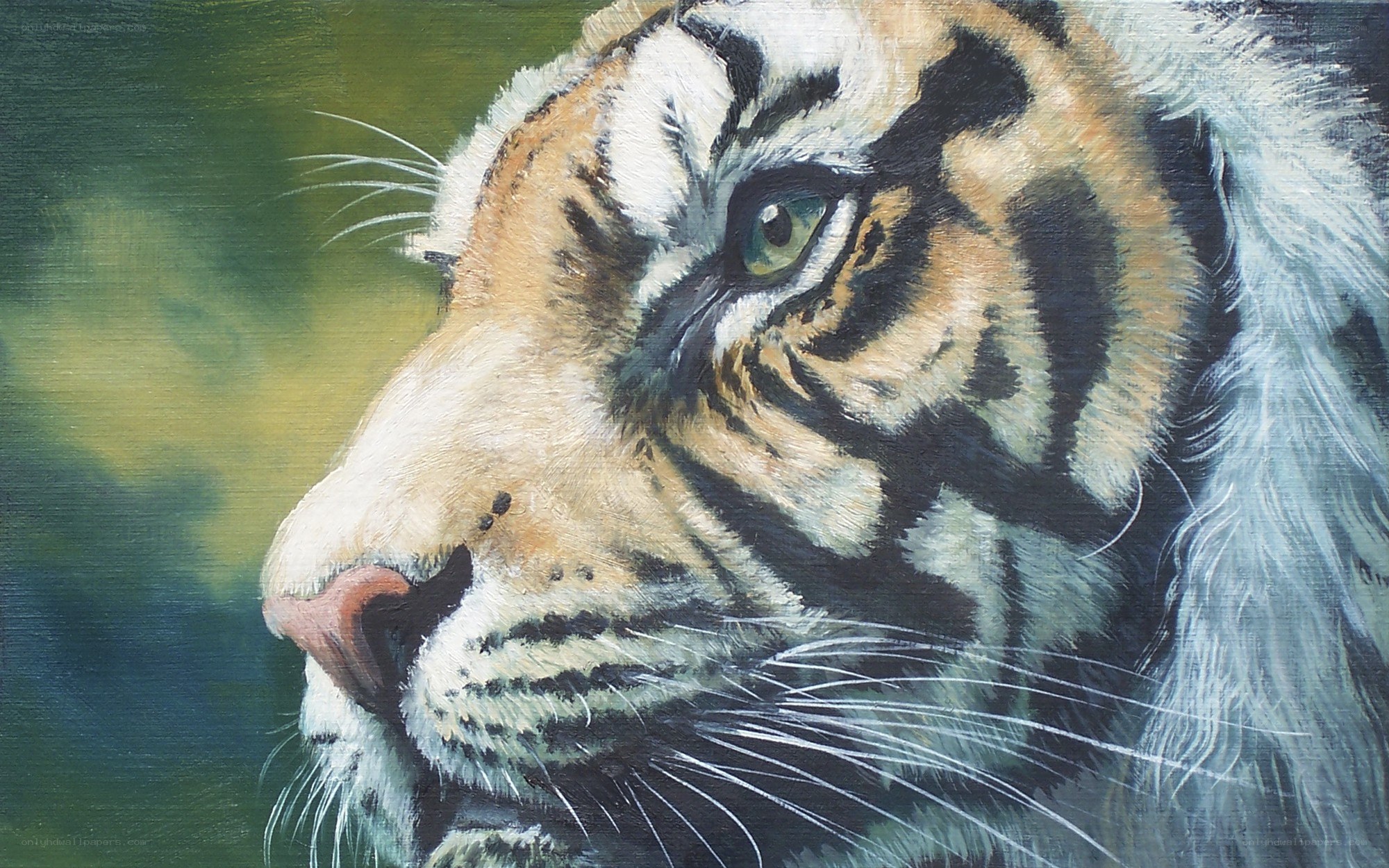 tiger portrait painting