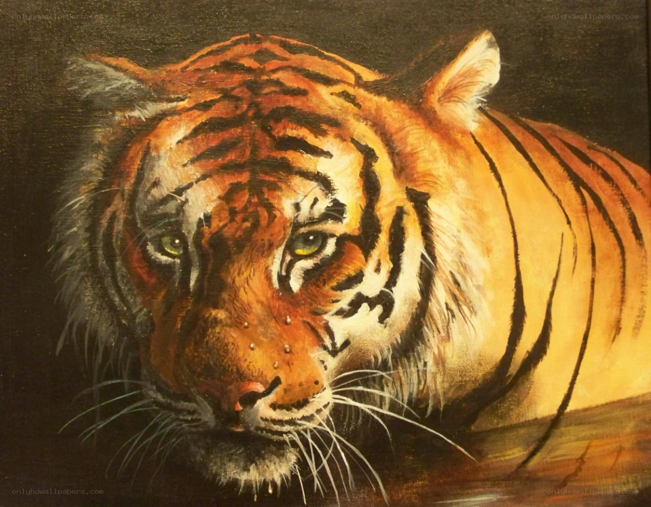tiger portrait painting