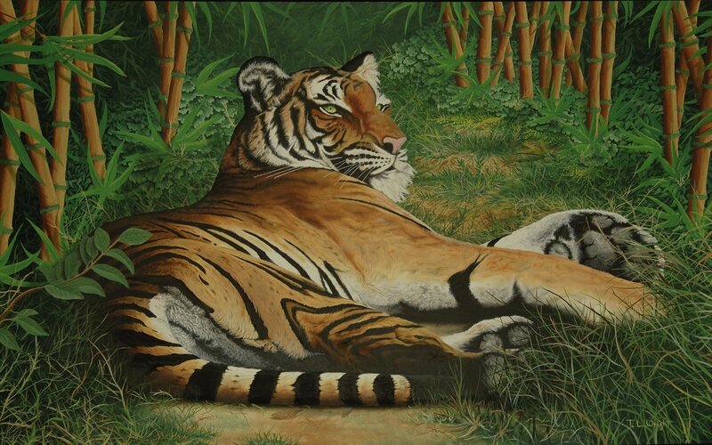 Tiger Resting in Bamboo