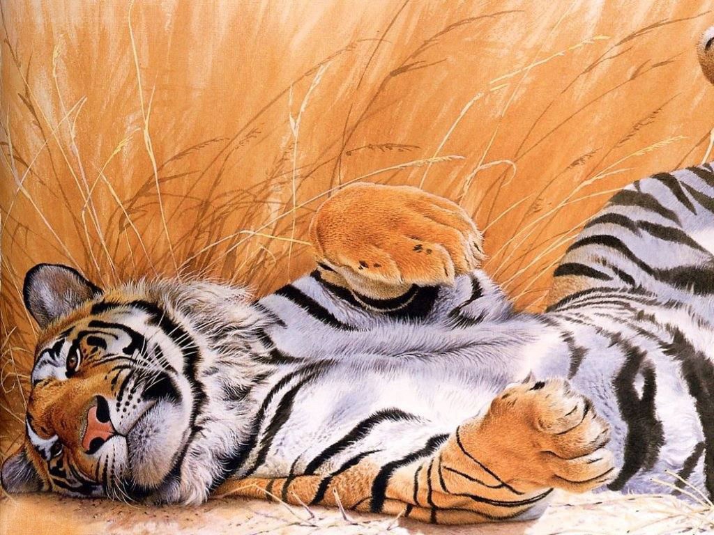 tiger resting in grass