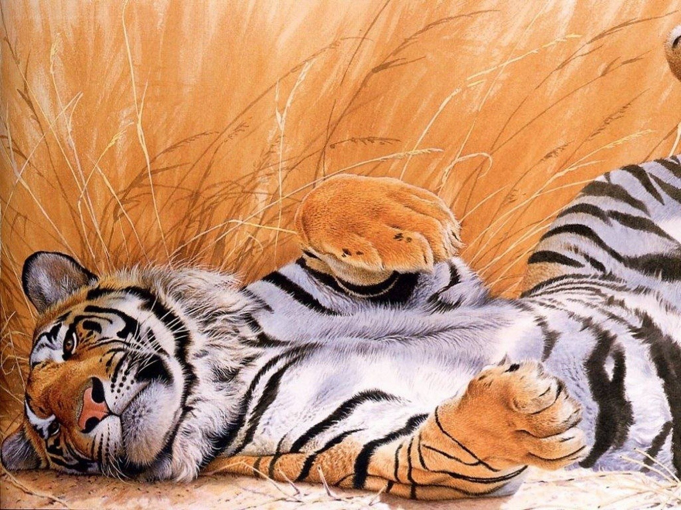 Tiger resting in tall grass