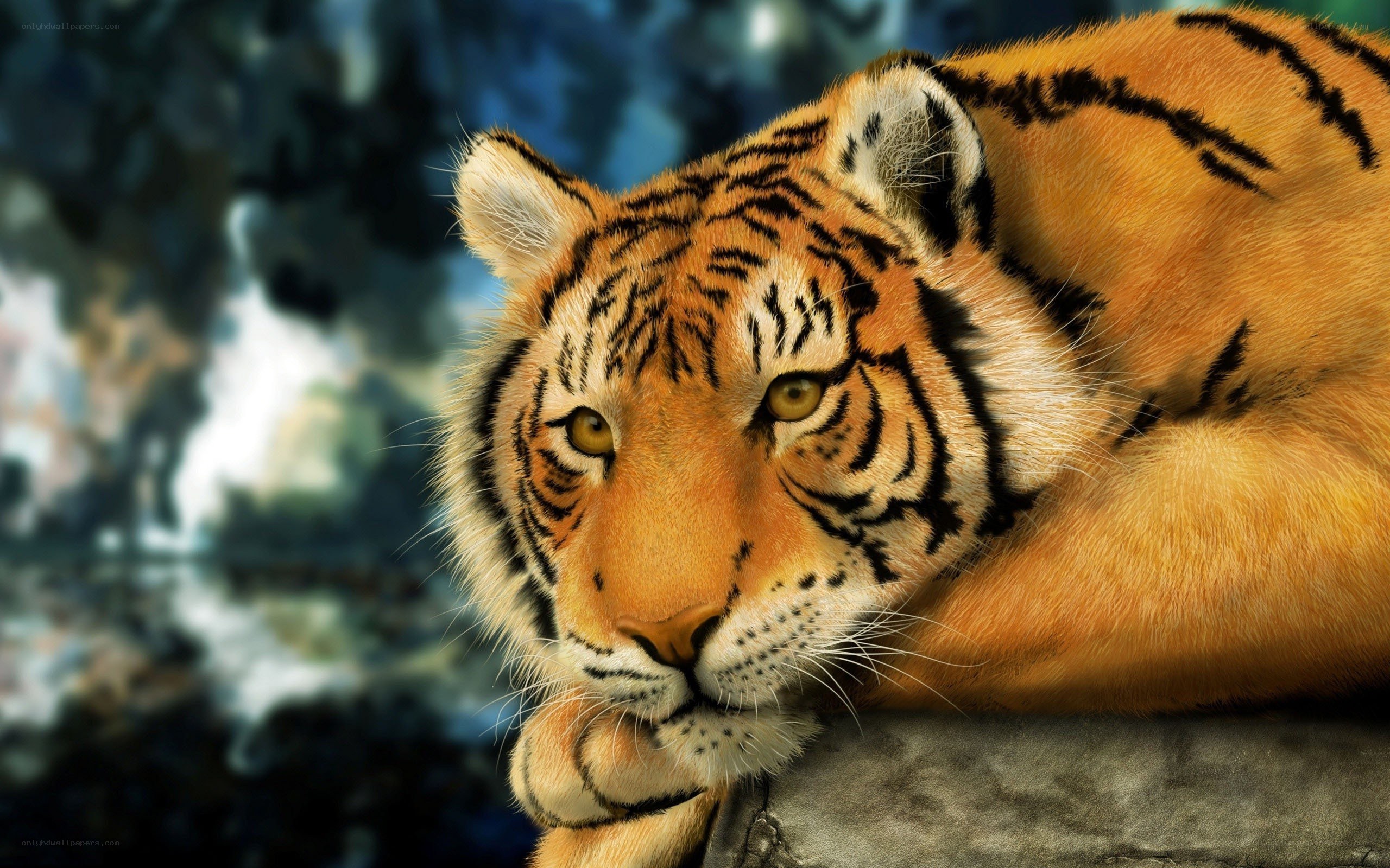 tiger resting on rock