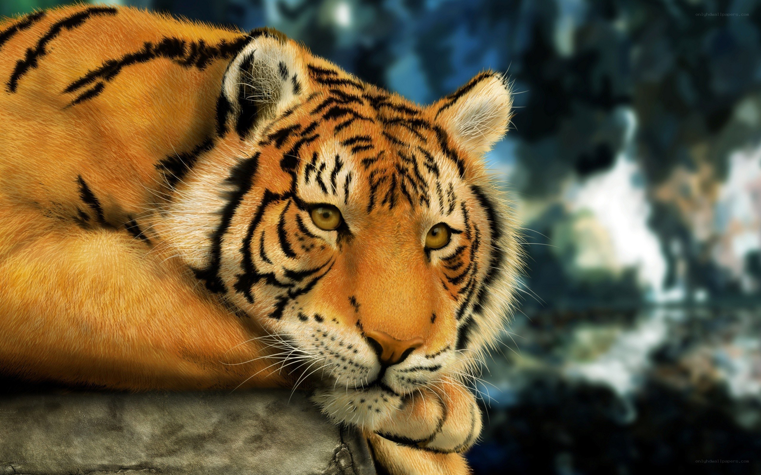 tiger resting on rock