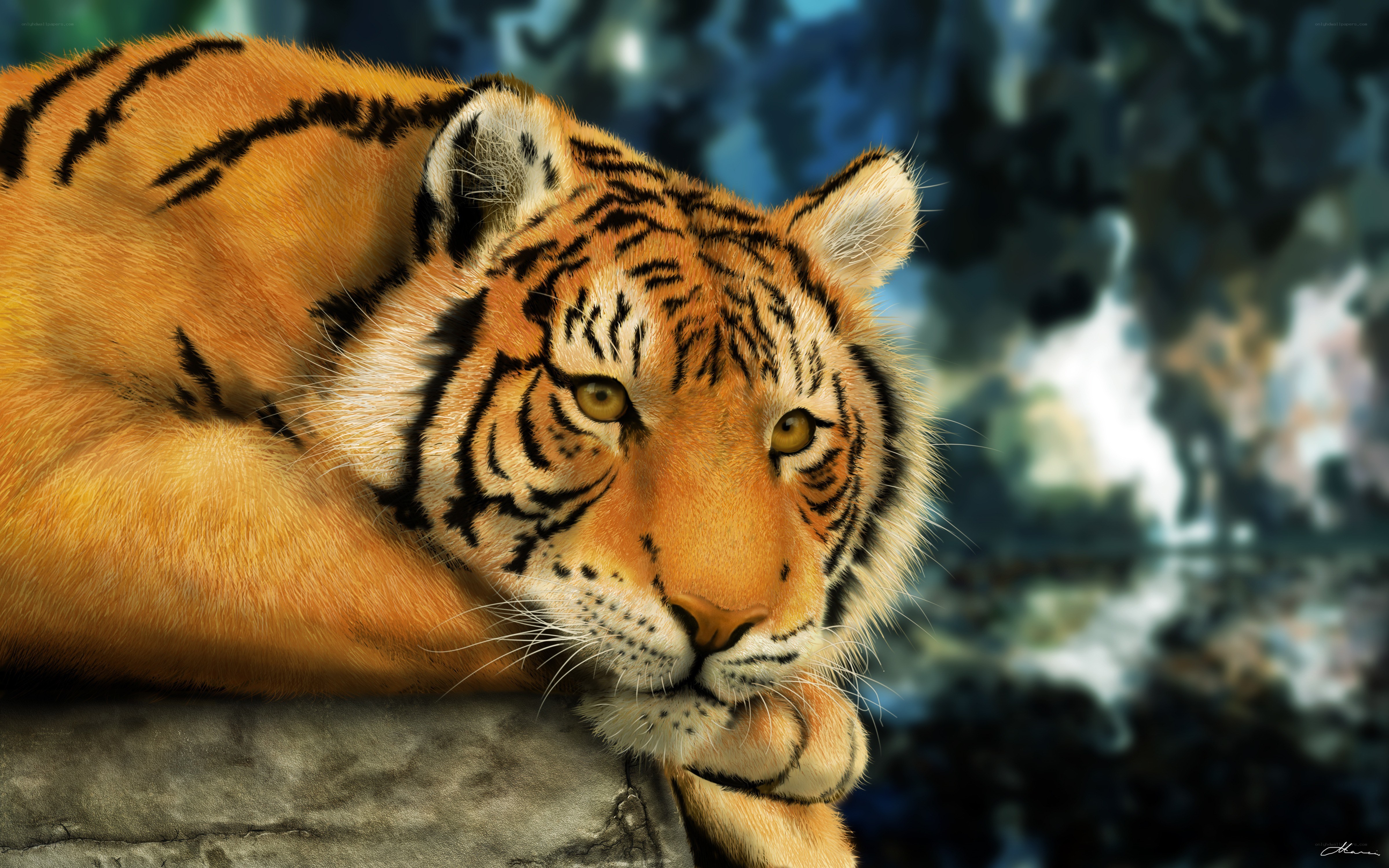 tiger resting on rock