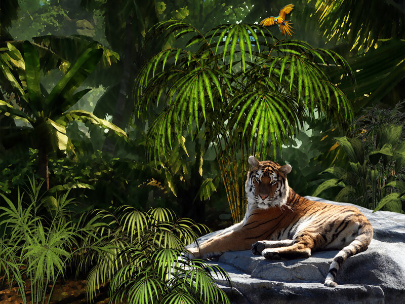 Tiger Resting on Rock — Green