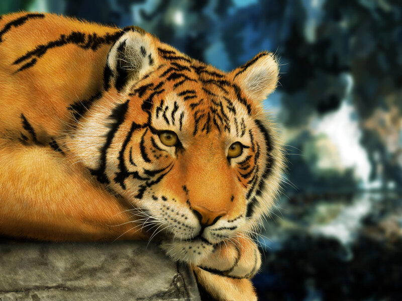 Tiger Resting on Rock — Orange, Calm, Digital Art, Forest
