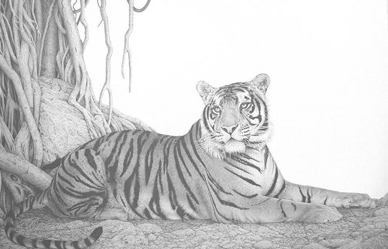 tiger resting under a tree