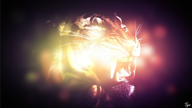 Tiger Roaring in Light