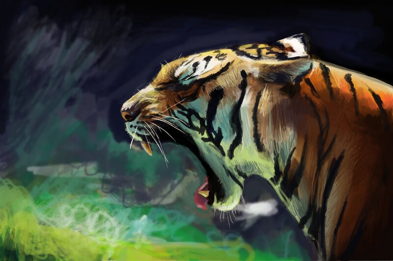 Tiger Roaring in Profile — Orange, Dramatic, Night