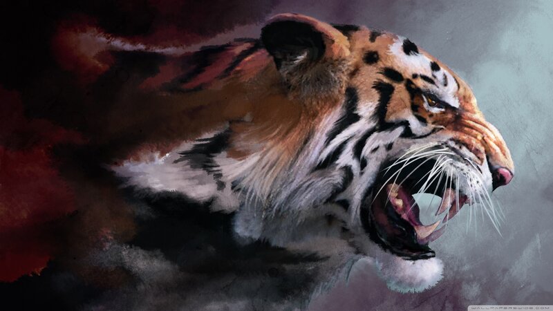 Tiger Roaring in Profile — Orange, Dramatic