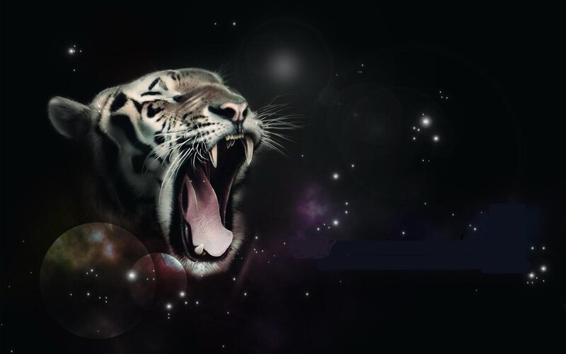 tiger roaring in space