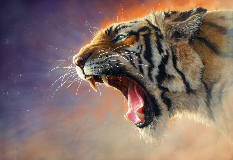 Tiger Roaring — Orange, Dramatic, Digital Art, Open Mouth