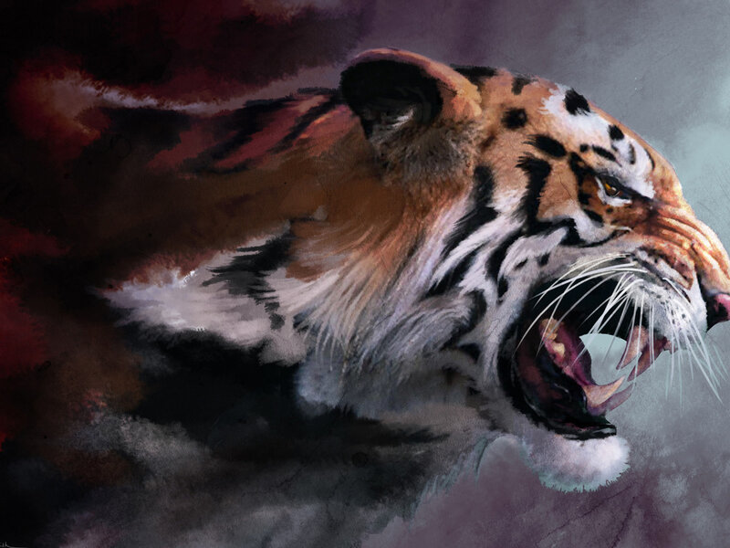 Tiger Roaring — Orange, Dramatic