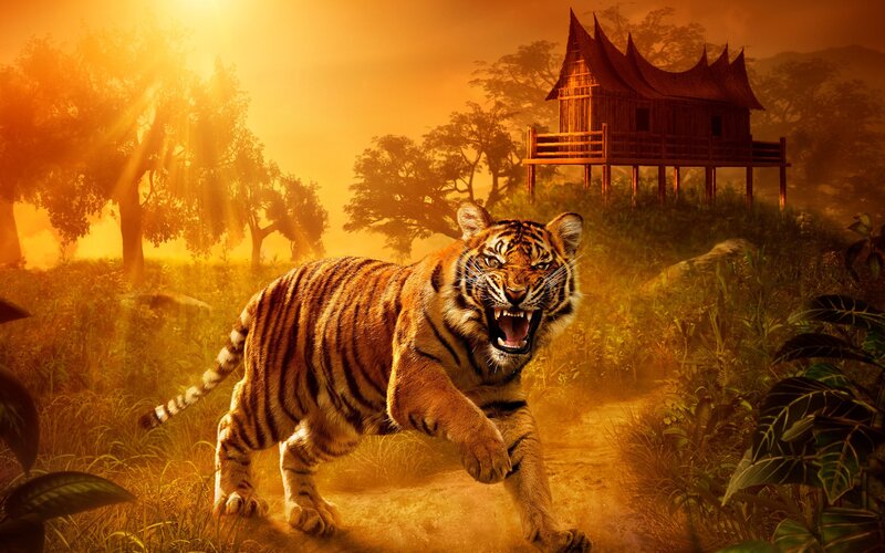 Tiger Running in Jungle