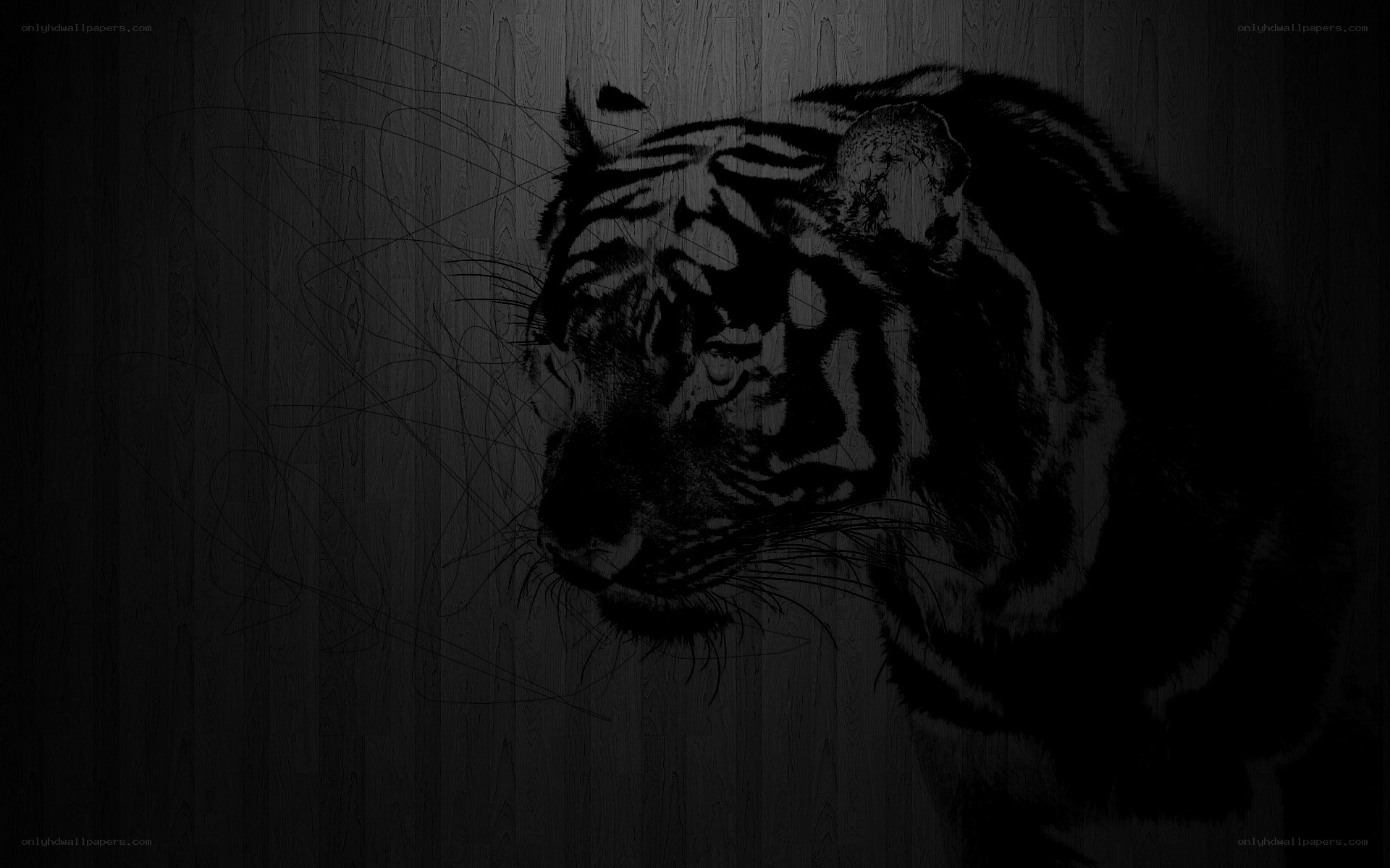 tiger sketch on wood