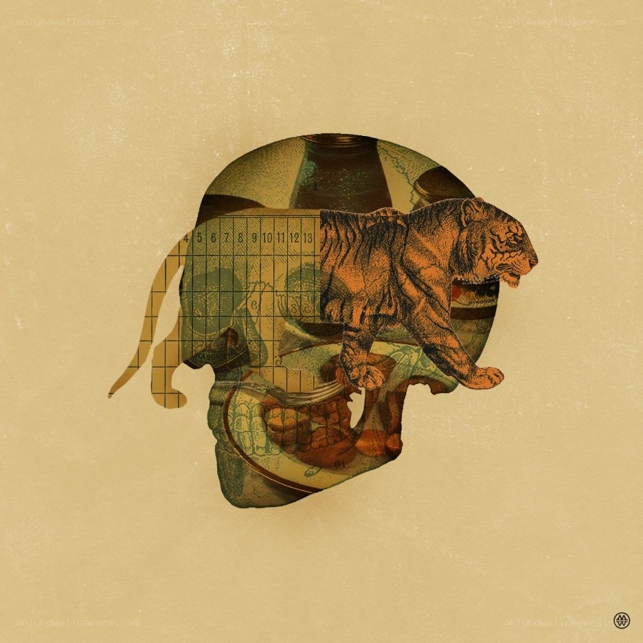 tiger skull collage art
