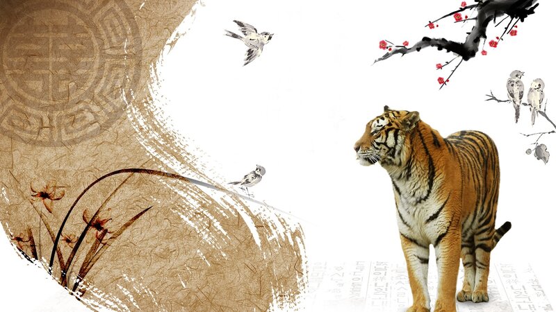 Tiger Standing Still
