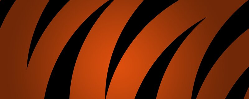 tiger stripe pattern
