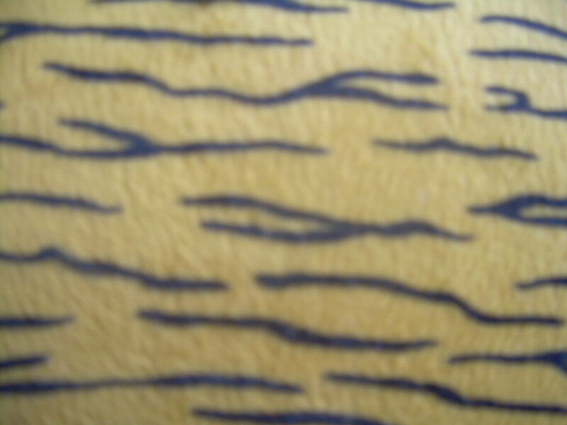 tiger stripe pattern fabric