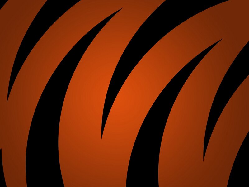 Tiger Stripe Pattern — Orange, Bold, Abstract