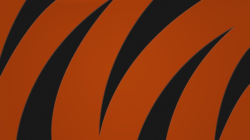 Tiger Stripe Pattern — Orange, Bold