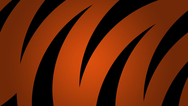 Tiger Stripe Pattern — Orange, Bold, Vector Art