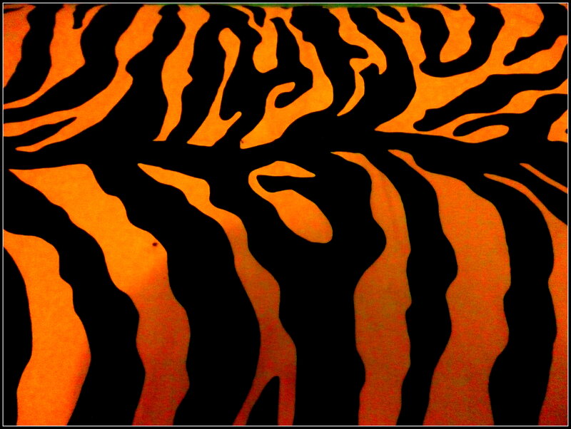 Tiger Stripe Pattern — Orange