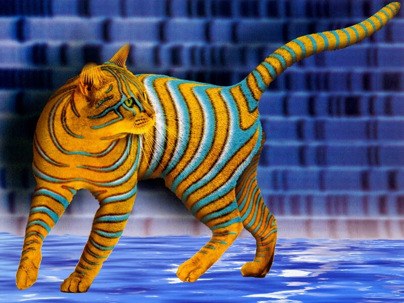 Tiger-striped Cat
