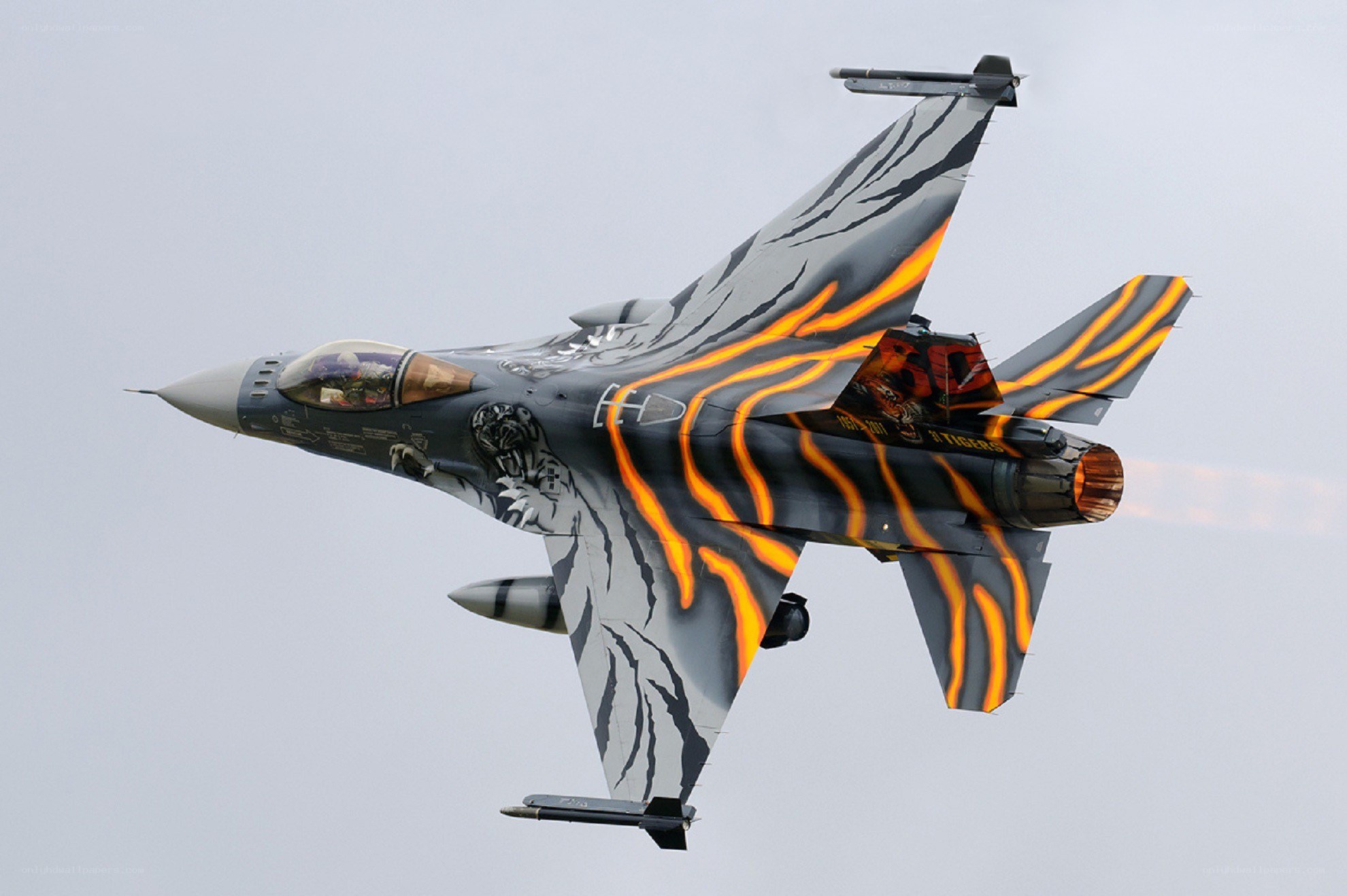 tiger-striped fighter jet in flight