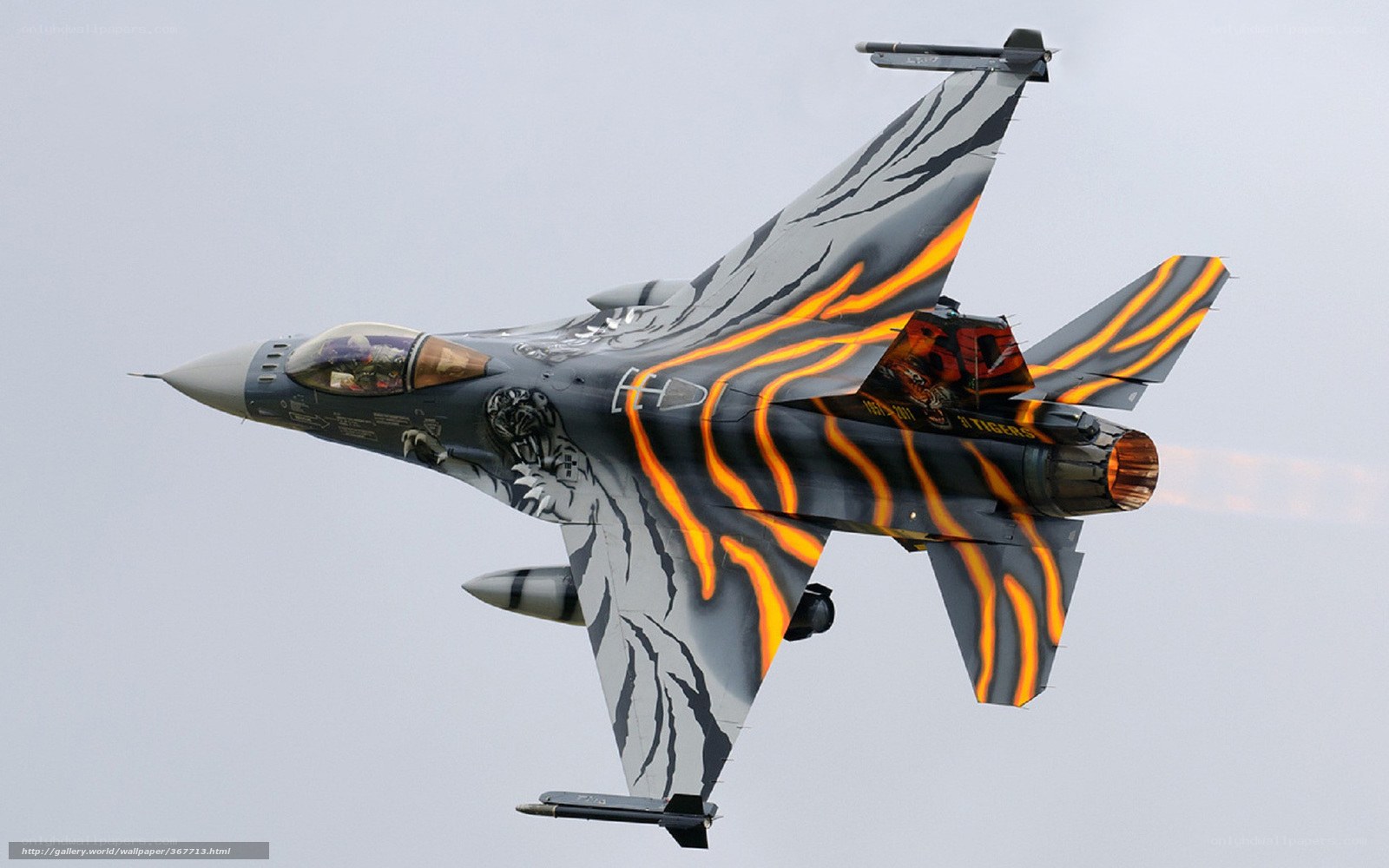 tiger-striped fighter jet