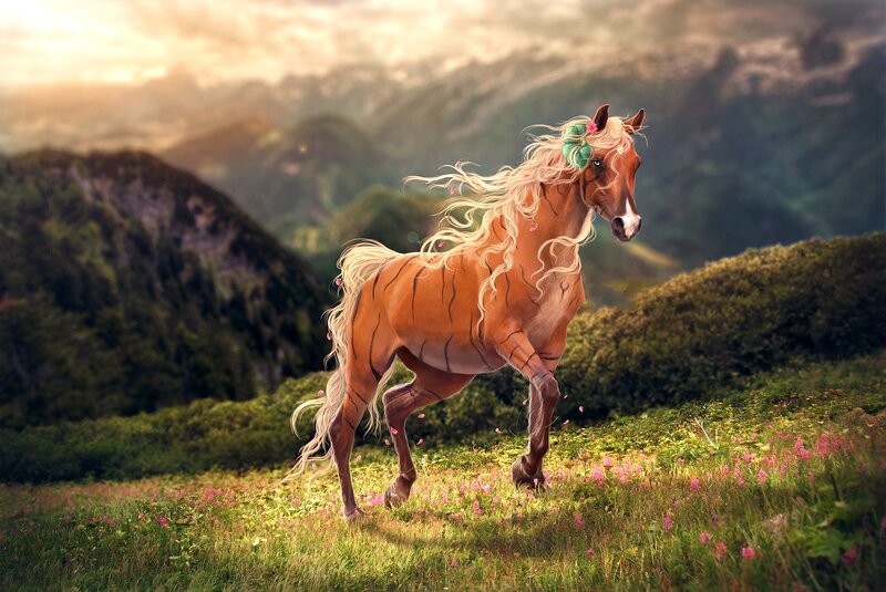 Tiger-striped Horse