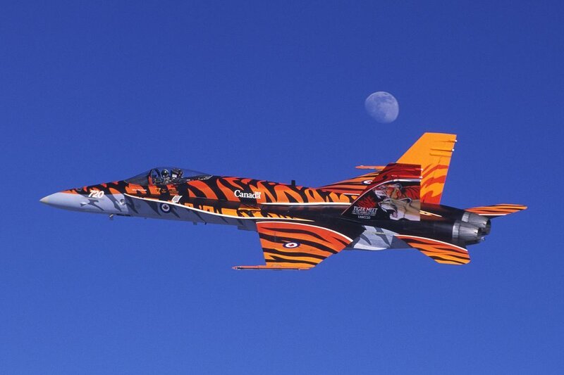 Tiger-striped Jet Aircraft