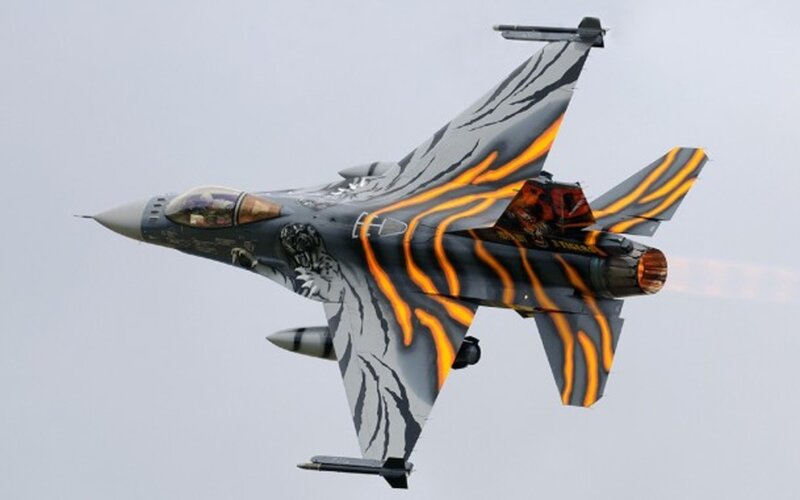Tiger-striped Jet Fighter — Gray, Dynamic, Photograph