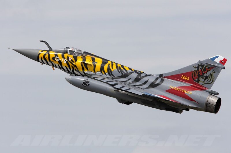 Tiger-striped Jet Fighter — Gray, Dynamic