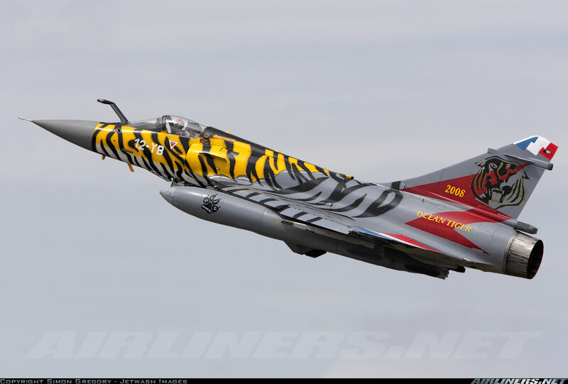 Tiger-striped Jet Fighter — Gray