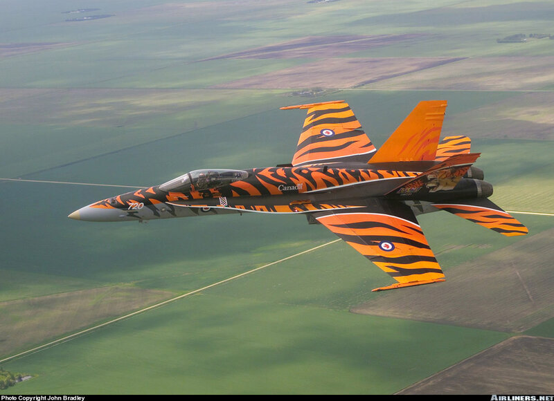 Tiger-striped Jet Fighter — Orange