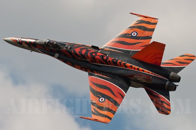 Tiger-striped Jet Fighter