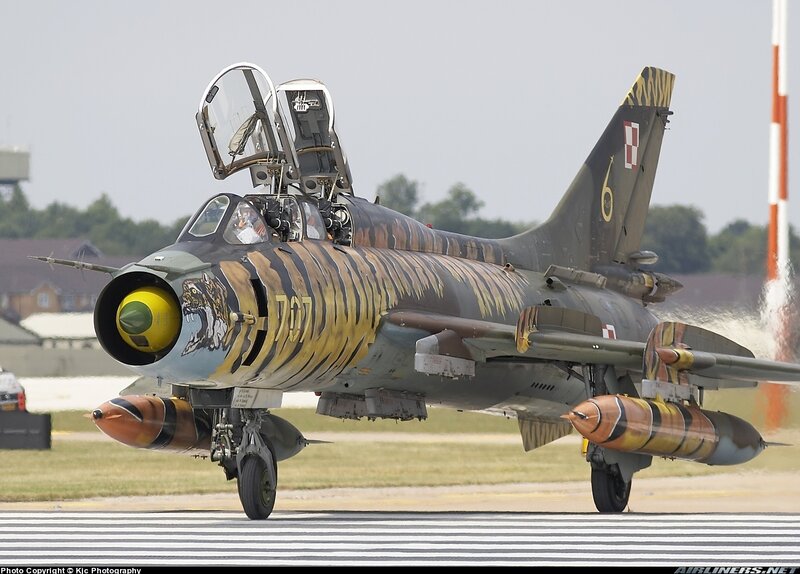 Tiger-striped jet on runway