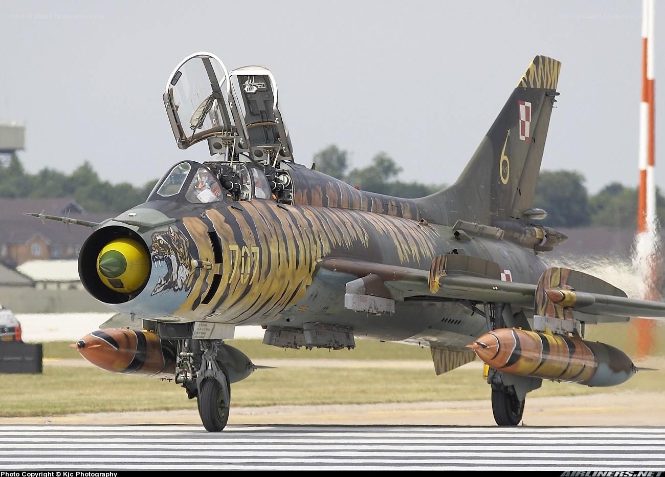 Tiger-striped jet on runway
