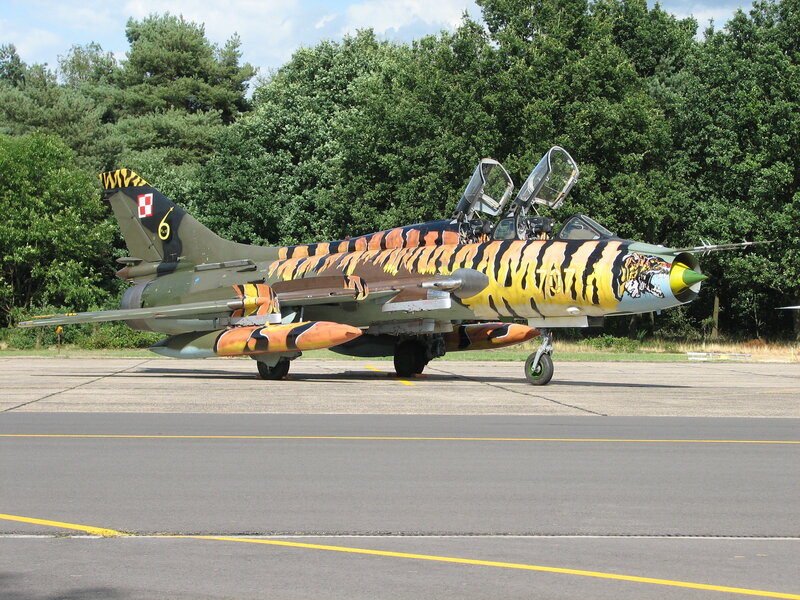 tiger-striped jet on tarmac