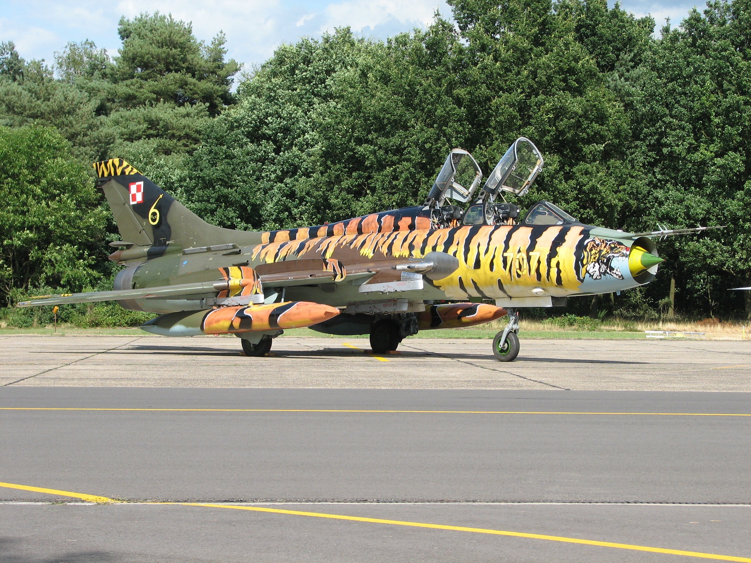 tiger-striped jet on tarmac