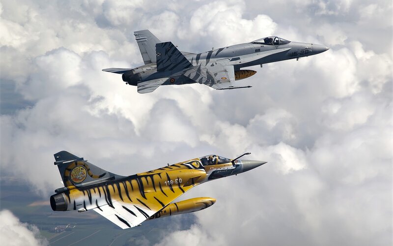 Tiger-striped Jets in Flight — Gray, Dynamic