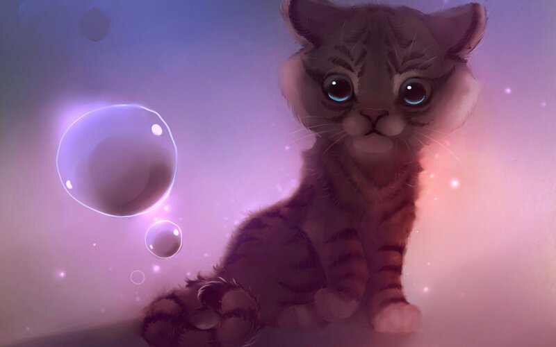 Tiger-striped Kitten