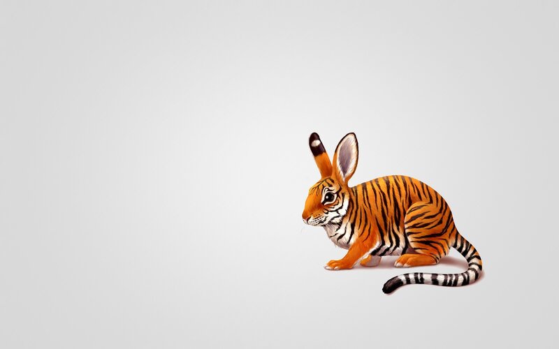 Tiger-striped Rabbit — Orange, Playful