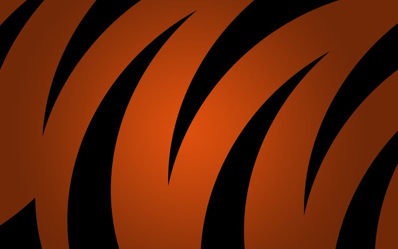 Tiger Stripes Pattern — Orange, Bold