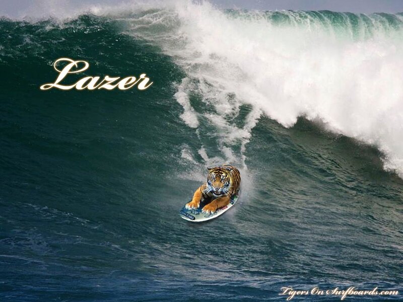 tiger surfing a wave